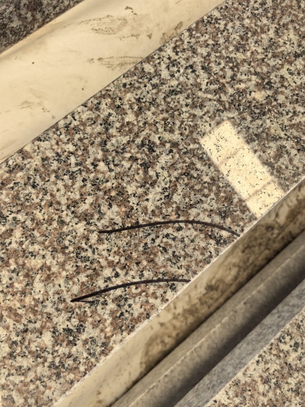Rejected elements with any defective Photo 18.jpg